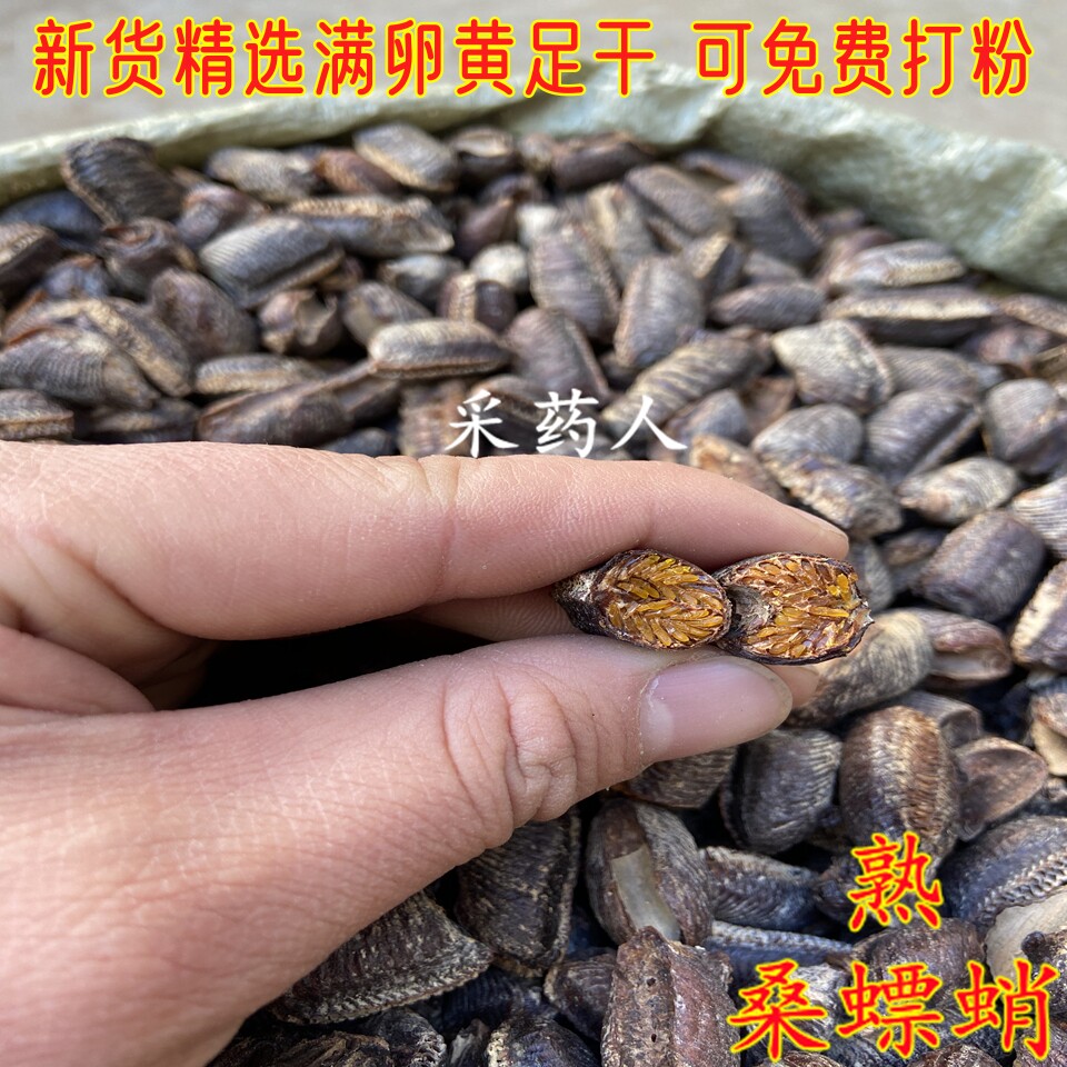 桑螵蛸螳螂子熟桑螵蛸超多卵黄精选螳螂籽螳螂卵刀螂籽50克可打粉