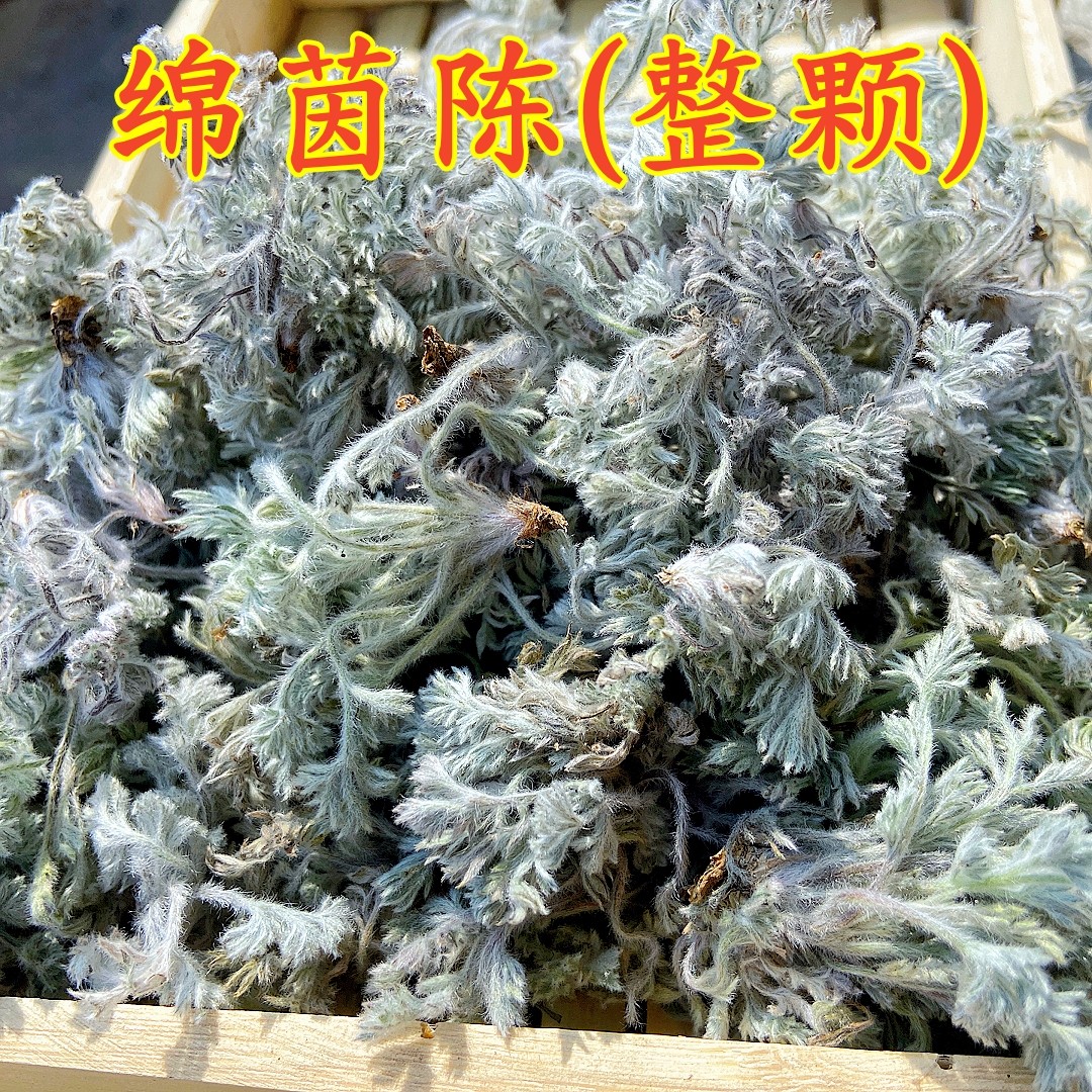 绵茵陈白蒿精选小茵陈整颗干净茵陈白蒿深山采摘自然晾干整颗白蒿