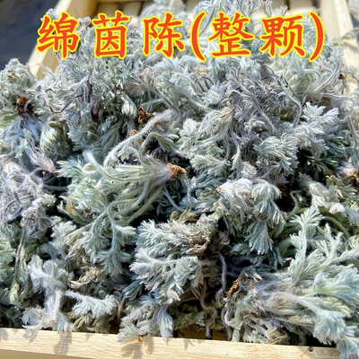 白蒿山里挖的绵茵陈干的鲜的都有