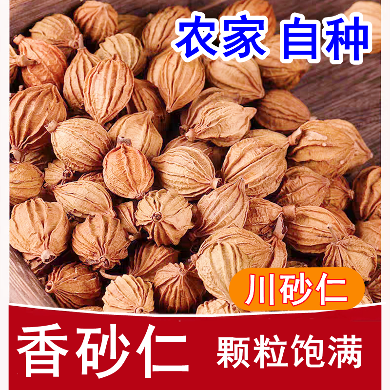 100-500g【特级】高品质川砂仁