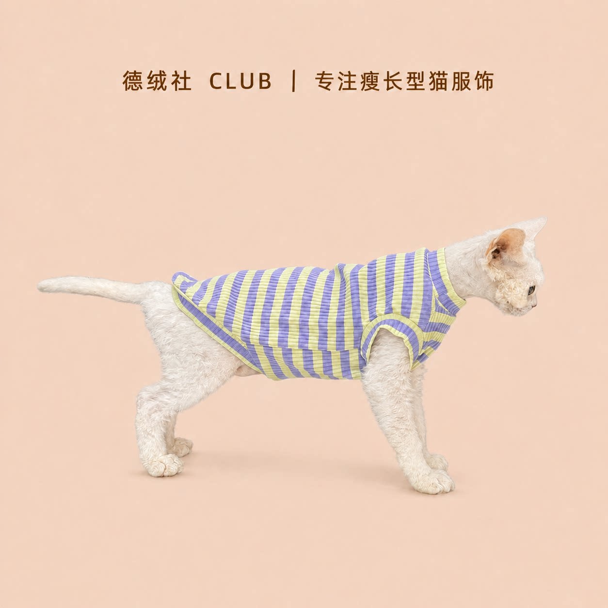 夏季薄款条纹猫咪护肚背心图片