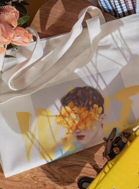 复古自制音乐帆布包Troye Sivan 戳爷 男女单肩 大容购物袋手提
