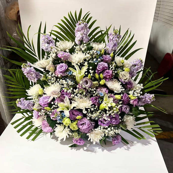 65cm扫墓扇面清明节祭奠祭扫鲜花白菊白事殡葬北京同城鲜花速递