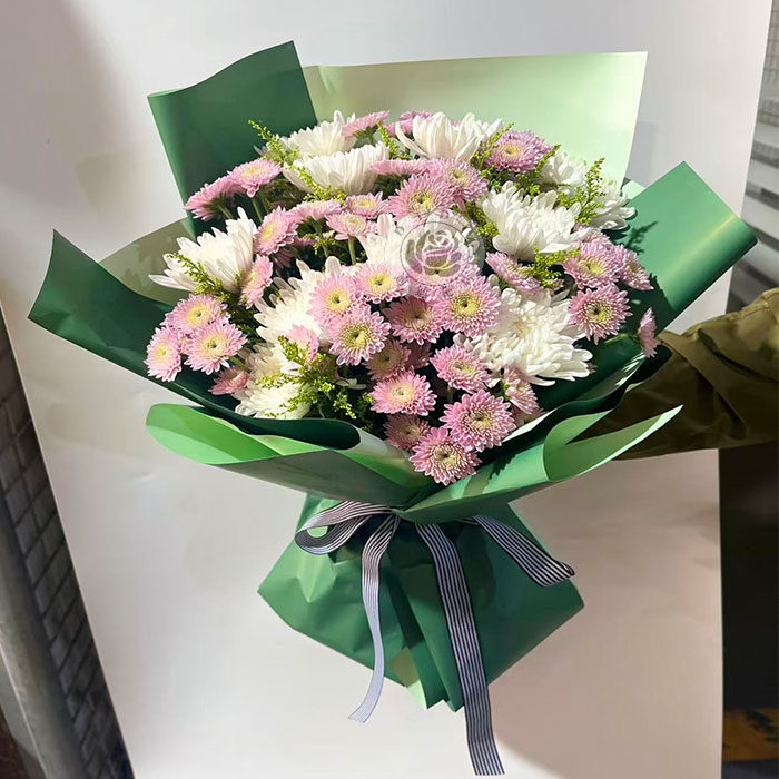 清明节菊花花束10朵白菊雏菊祭扫扫墓花束上坟北京同城鲜花速递