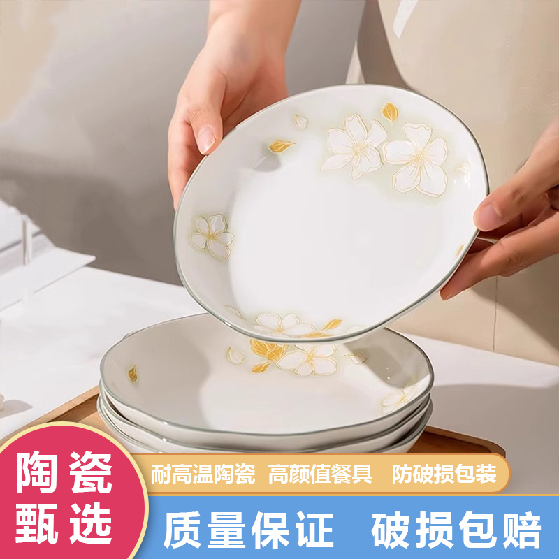 高级感精致餐盘碗盘套装网红盘子