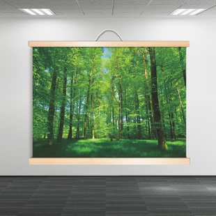 树木森林树林田园风景画玄关实木卷轴挂画儿童房间护眼图客厅装 饰