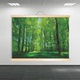 树木森林树林田园风景画玄关实木卷轴挂画儿童房间护眼图客厅装 饰