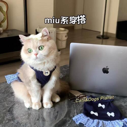 狗狗衣服春夏季博美小型猫咪狗狗背心裙学院风防掉毛金渐层比熊