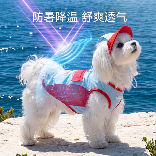 春夏季宠物凉凉衣撞色口袋拼接凉凉背心带帽小狗狗衣服宠物服饰