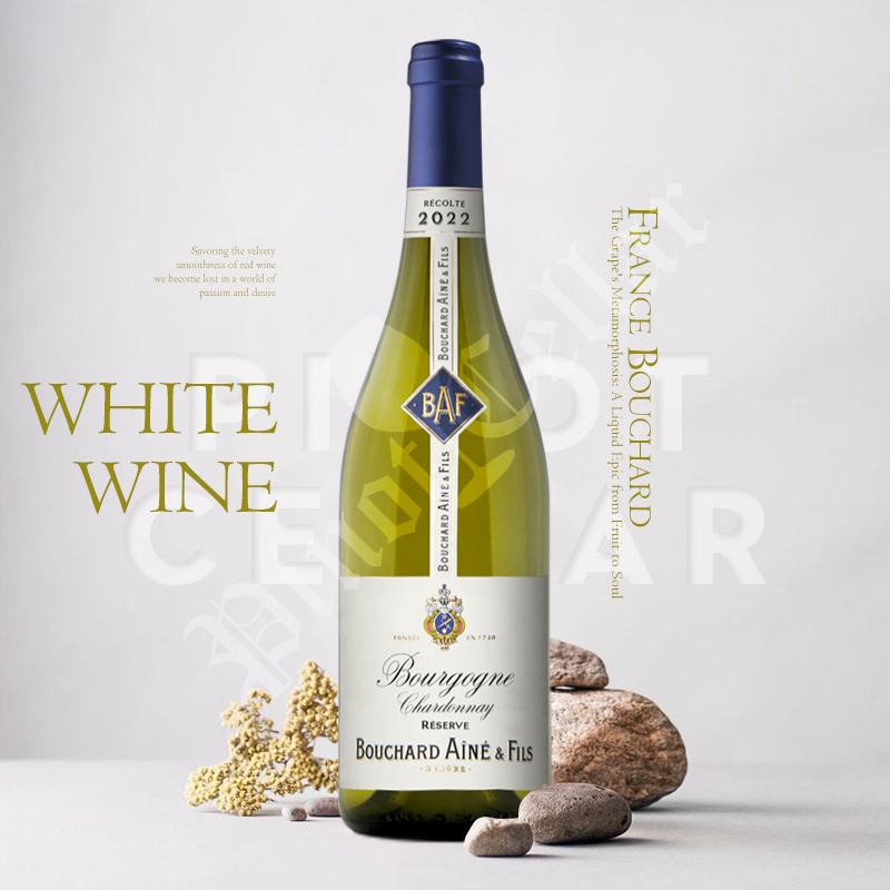 老布夏勃艮第PinotCellar霞多丽