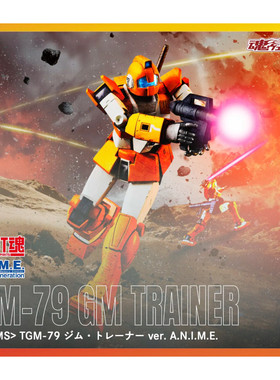 定金 万代魂限 ROBOT魂 R魂 机动战士高达 训练型吉姆 TGM-79日版
