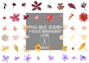 PNG 压花干花碎花水彩风格植物拼贴素材 文艺collage平面设计