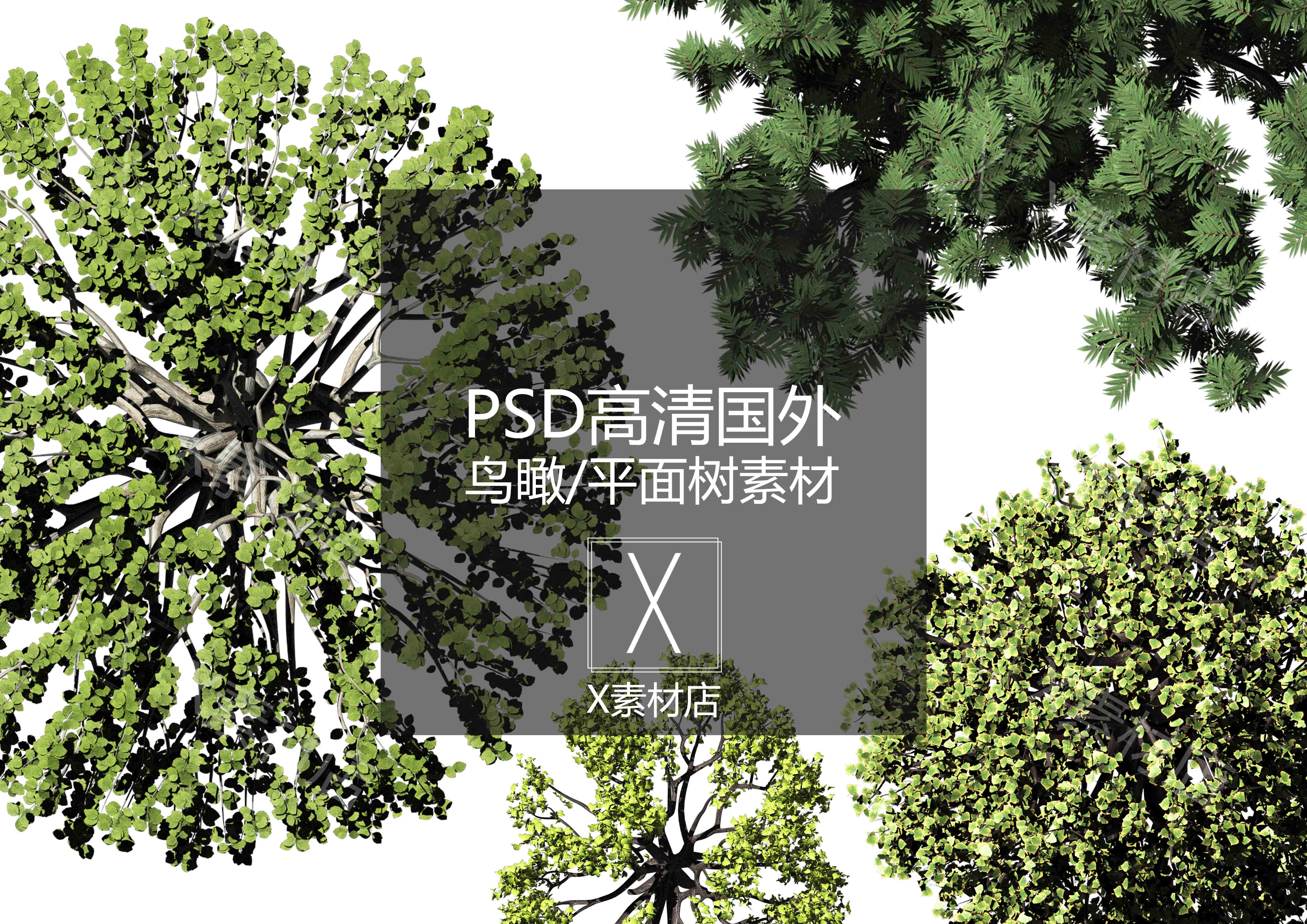 PSD国外高清平面/鸟瞰树木景观建筑设计平面图后期高素材