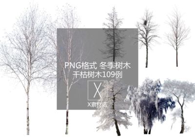 PNG 冬季落叶和干枯树木雪植物景观建筑设计效果图后期素材