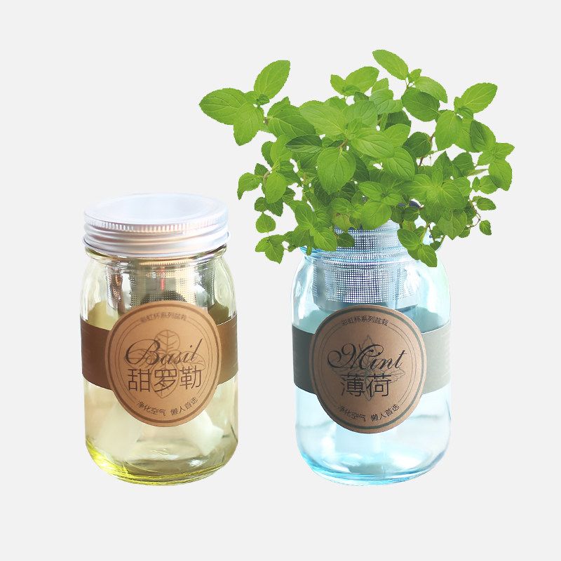 ECOEY 微景觀生態瓶植物水培盆栽懶人雙層自動吸桌面種草小盆栽在類目 鮮花速遞/花卉仿真/綠植園藝, 創意迷你植物中 - 來自Buy2taobao.com提供專業的淘寶代購服務