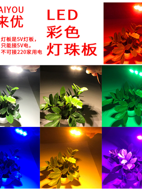 LED高亮5V彩色灯珠板户外室内聚会白暖黄蓝绿紫氛围补光装饰灯光