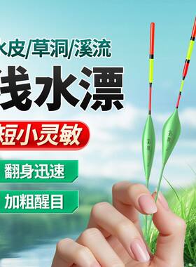 短漂浅水高灵敏度加粗醒目草洞鱼漂水皮漂鲫鱼远投纳米浮漂冰钓漂