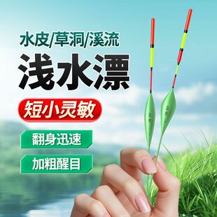 短漂浅水高灵敏度加粗醒目草洞鱼漂水皮漂鲫鱼远投纳米浮漂冰钓漂