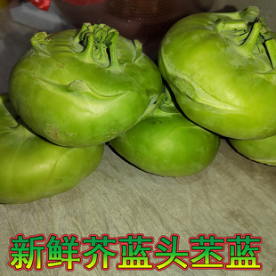现摘现发萍乡新鲜芥兰头蔬菜江西葛兰头大头菜500g 三斤包邮