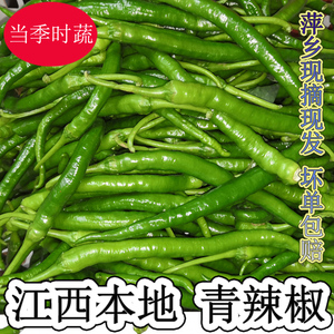 萍乡本地青椒麻山辣椒现摘现发江西二荆条青辣椒尖辣椒线椒500g