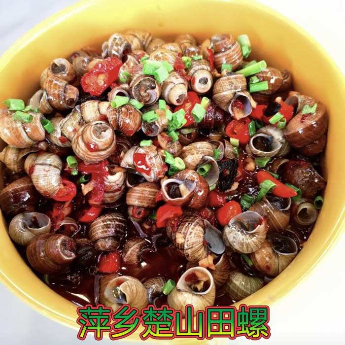 萍乡彭记楚山田螺江西特产上栗夜宵螺丝香辣嗦螺加热即可食用500g