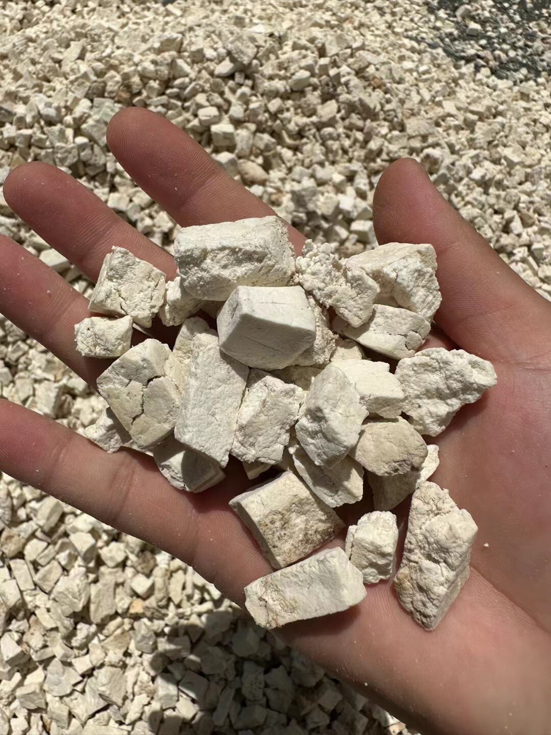 秦岭农家手工刀切茯苓块无硫茯苓丁500g袋装