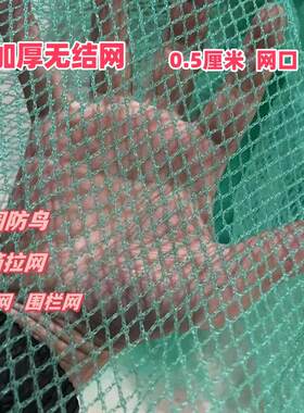 无结养鸡网围栏网家禽水产防鸟网