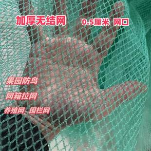 加厚无结网养鸡网围栏网家禽水产网防鸟网拦鱼网果园网养殖防逃网