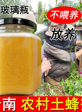 蜂蜜纯正天然土蜂蜜农村散养百花蜜土蜂蜜云南纯正蜂蜜正宗无添加