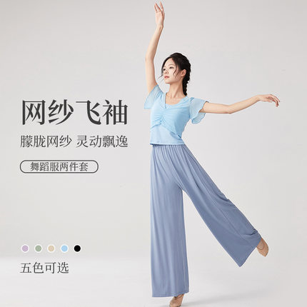 舞蹈服套装古典舞蹈练功服成人现代舞阔腿裤跳舞服小飞袖中国舞服