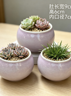 冰裂素烧小清新陶瓷透气多肉花盆