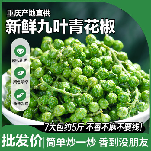麻椒重庆新鲜重庆江津藤椒