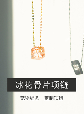 宠物纪念品ins风项链存骨灰毛发