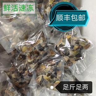 顺丰包邮手工新鲜速冻淡水冷冻虾泥鳅段龙鱼虎鱼麦穗山根鱼丁饲料