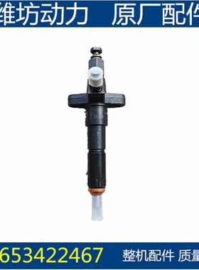 潍坊潍柴华丰ZH4100 ZHAG 4102 ZH4105 喷油器 喷油嘴总成 配件