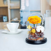 情人节玫瑰花送女友礼物圣诞节棉花礼物陪伴玻璃罩永生花成品