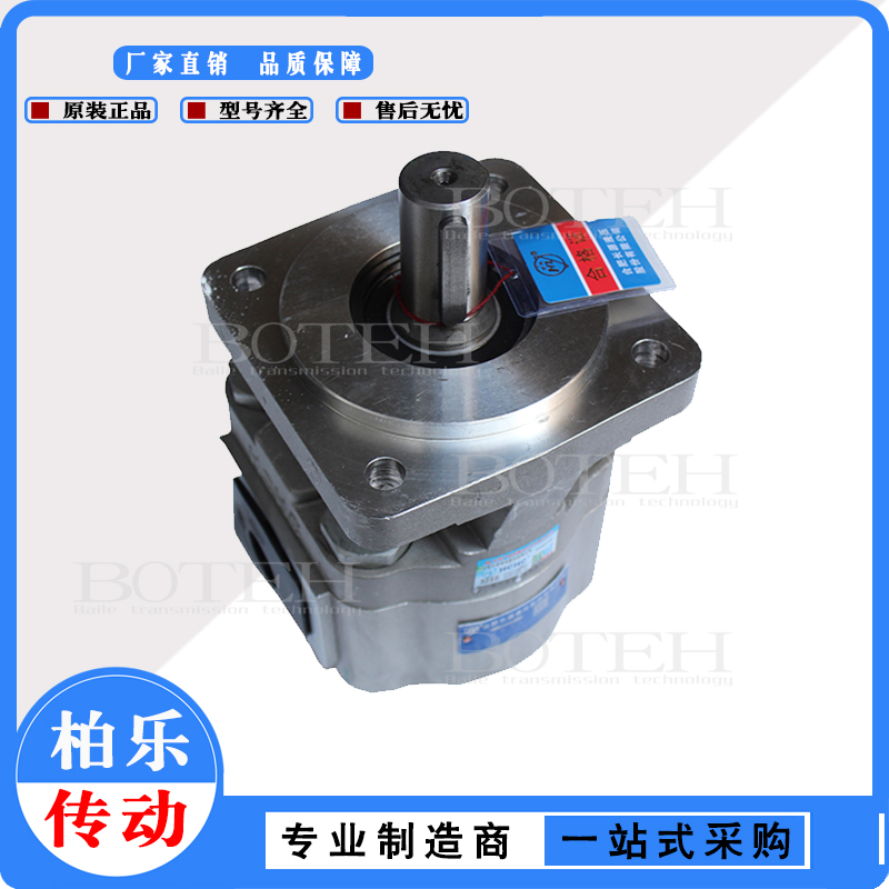合肥长源HCHC齿轮泵CBW-F304AFPL