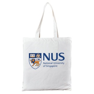 新加坡国立大学NUS南洋理工大学帆布包单肩包书包笔记本电脑袋子