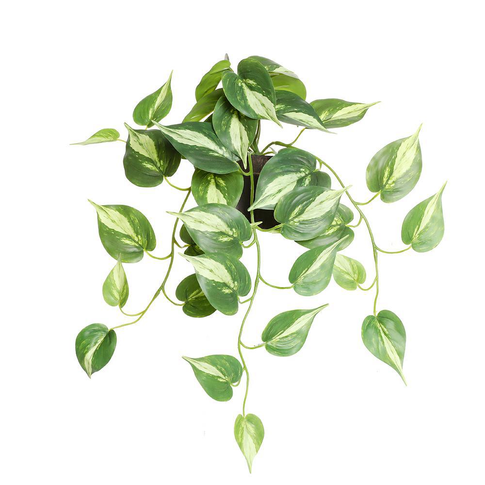 3D仿真绿萝盆栽绿植套装
