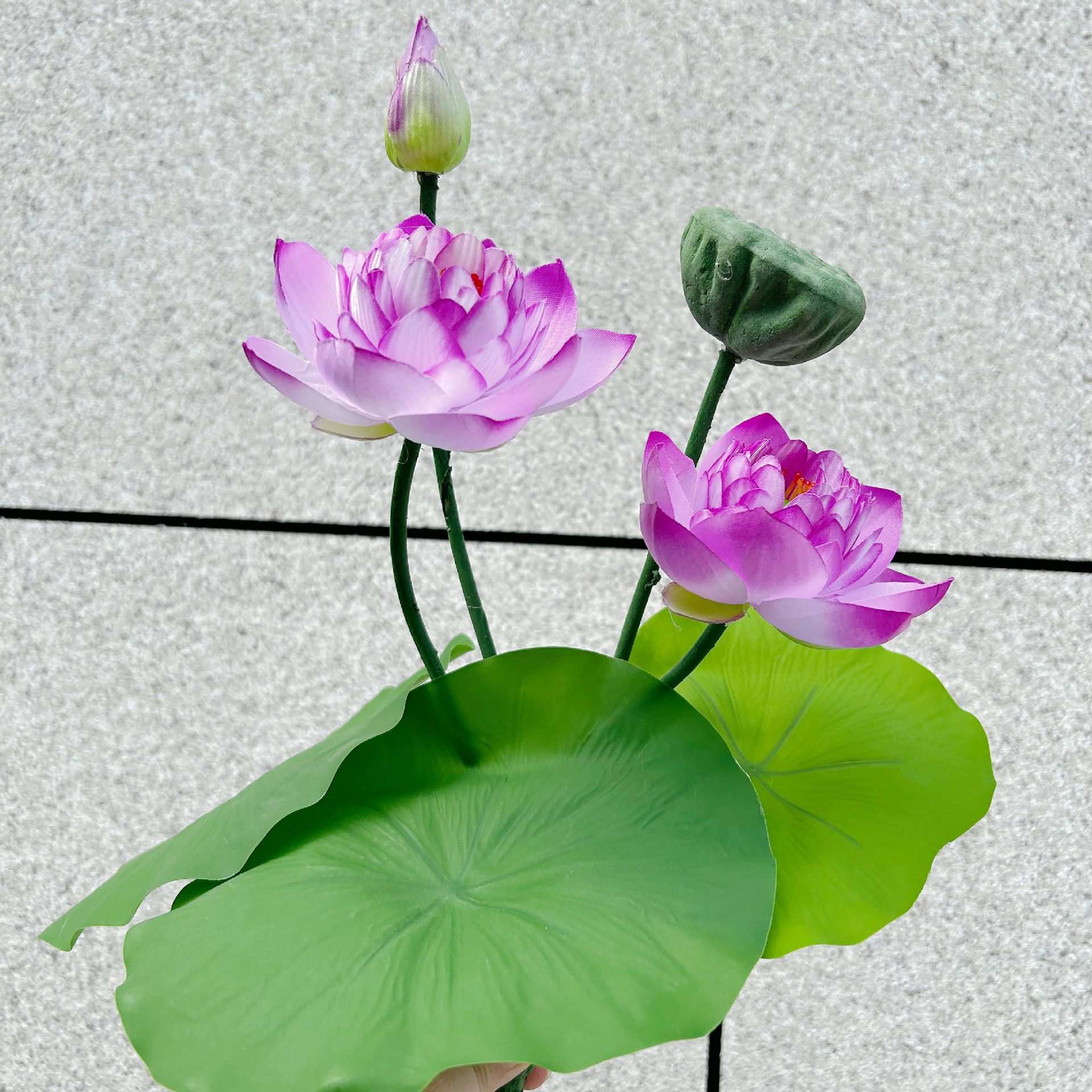 手感枝7叉把束荷花荷叶