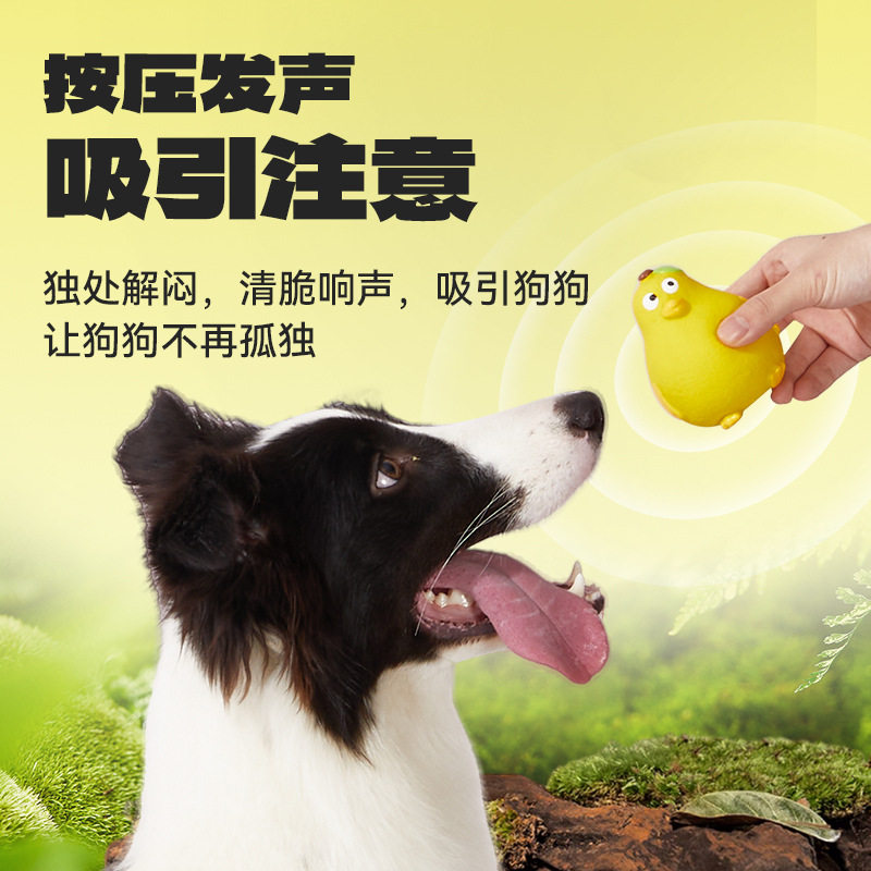 宜特狗狗玩具新品乳胶逗