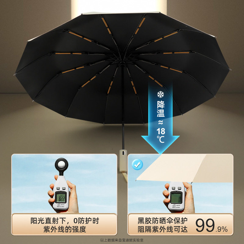 雨伞全自动高档商务双龙