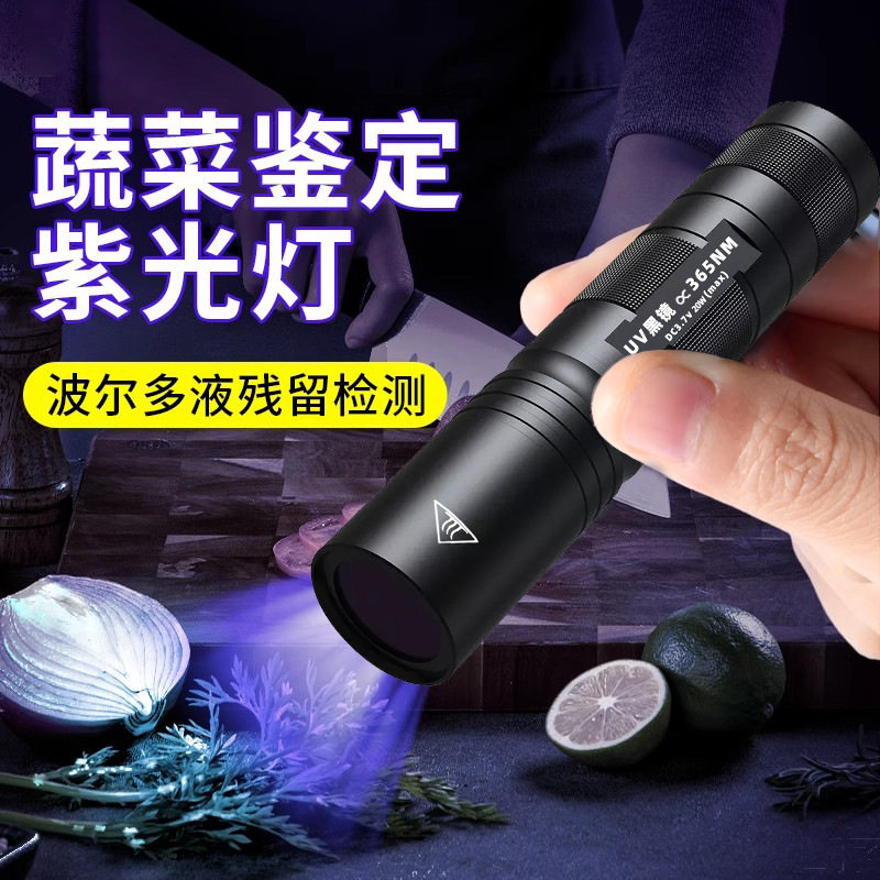 伍德氏灯照猫藓尿癣真菌