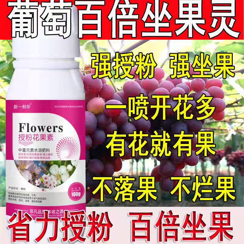 葡萄专用授粉药强效授粉座果精授粉花果素防落素保花保果素沾花素