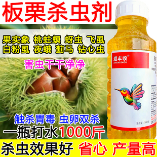 板栗杀虫剂板栗专用杀虫剂高氯甲维盐虫卵双杀蔬菜果树通用杀虫剂