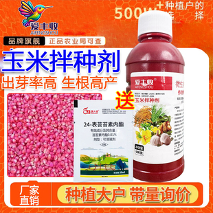 玉米专用拌种剂水稻拌种药玉米种衣剂包衣剂杀菌根腐地下害虫增产