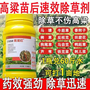 高粱除草剂37%二氯喹啉酸莠去津高粱田专用杂草除草剂200克
