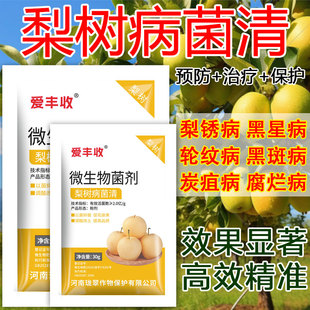 梨树病菌清梨锈黑星炭疽黑斑褐斑白粉梨子梨树专用病菌清