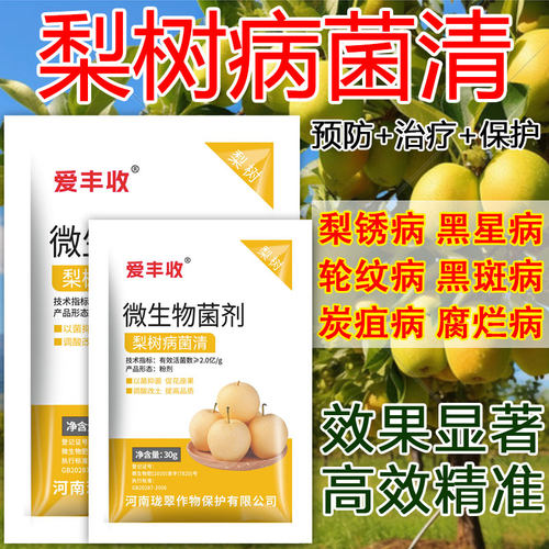梨树病菌清梨锈黑星炭疽黑斑褐斑白粉梨子梨树专用病菌清