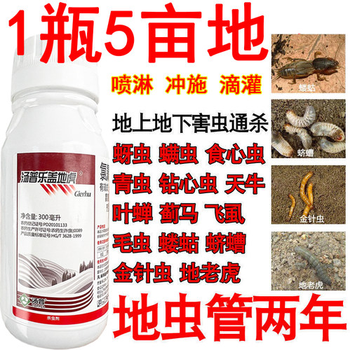 辛硫磷乳油蚂蚁地下害虫